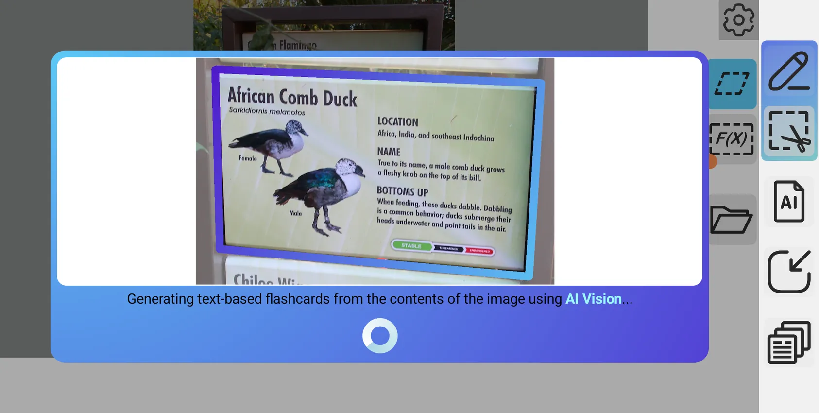 Generate Flashcards with Image